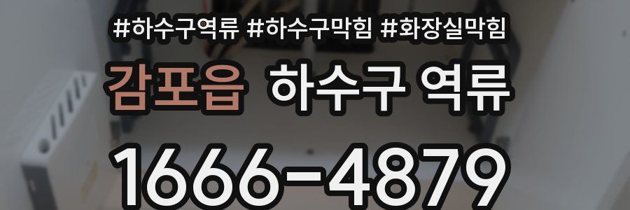 감포읍 하수구 역류