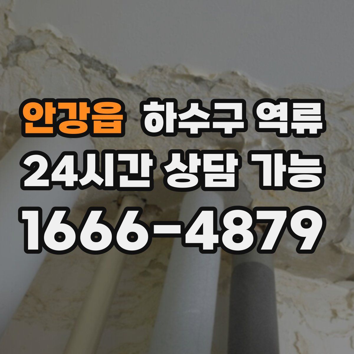 안강읍 하수구 역류