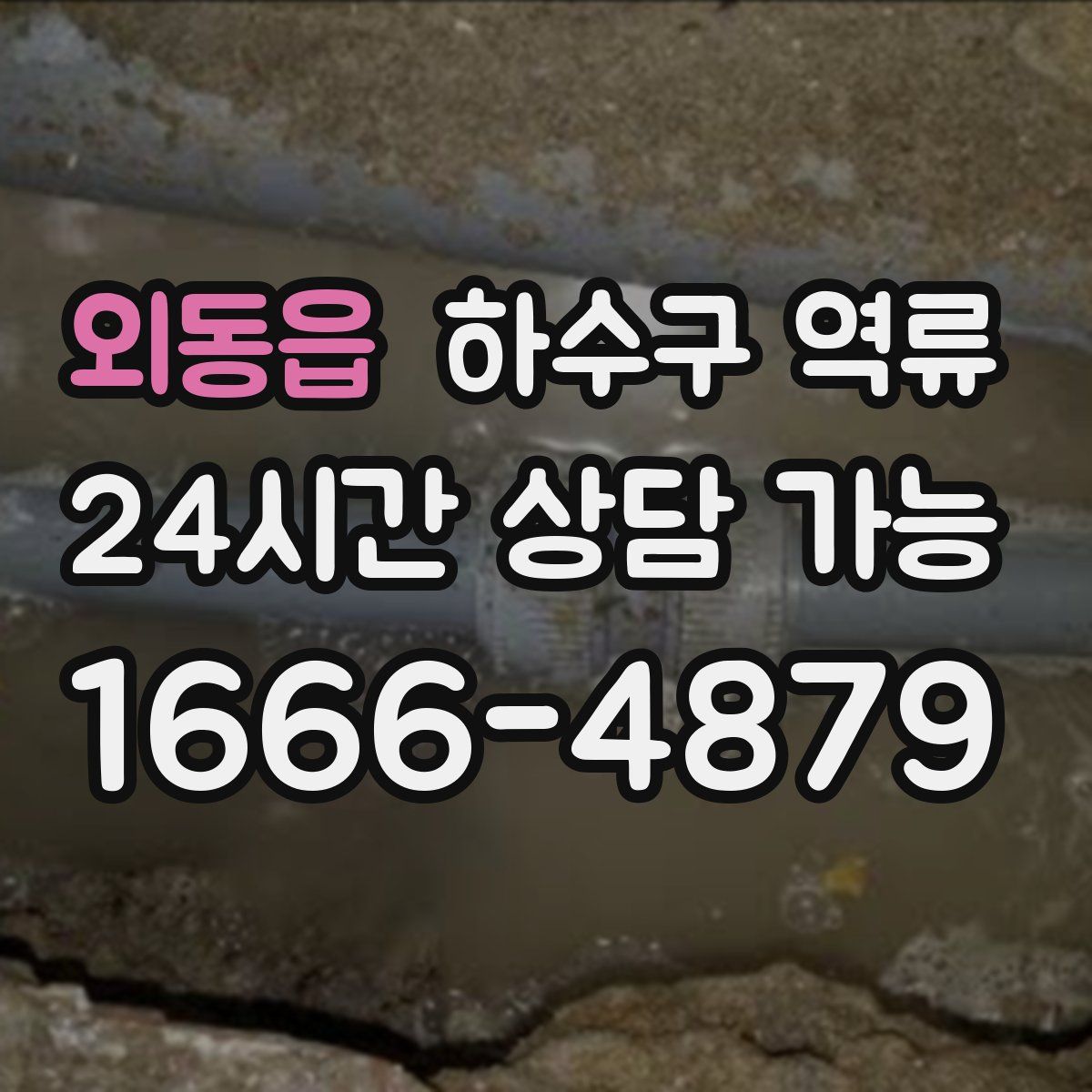 외동읍 하수구 역류