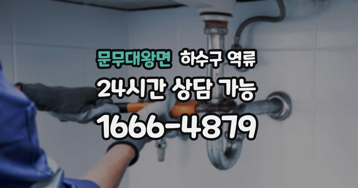 문무대왕면 하수구 역류