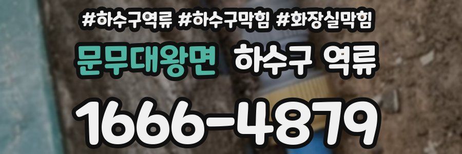 문무대왕면 하수구 역류