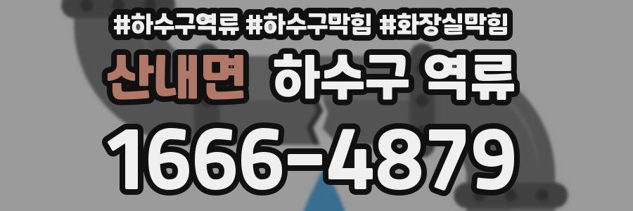 산내면 하수구 역류