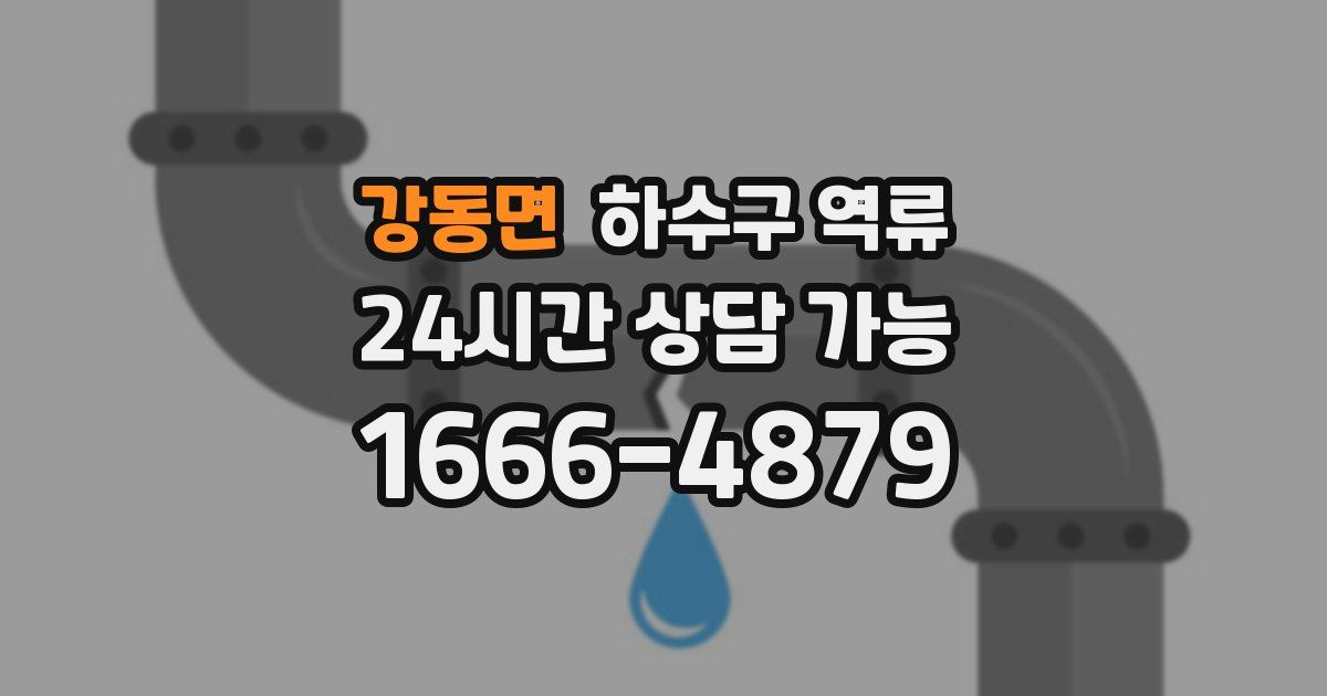 강동면 하수구 역류