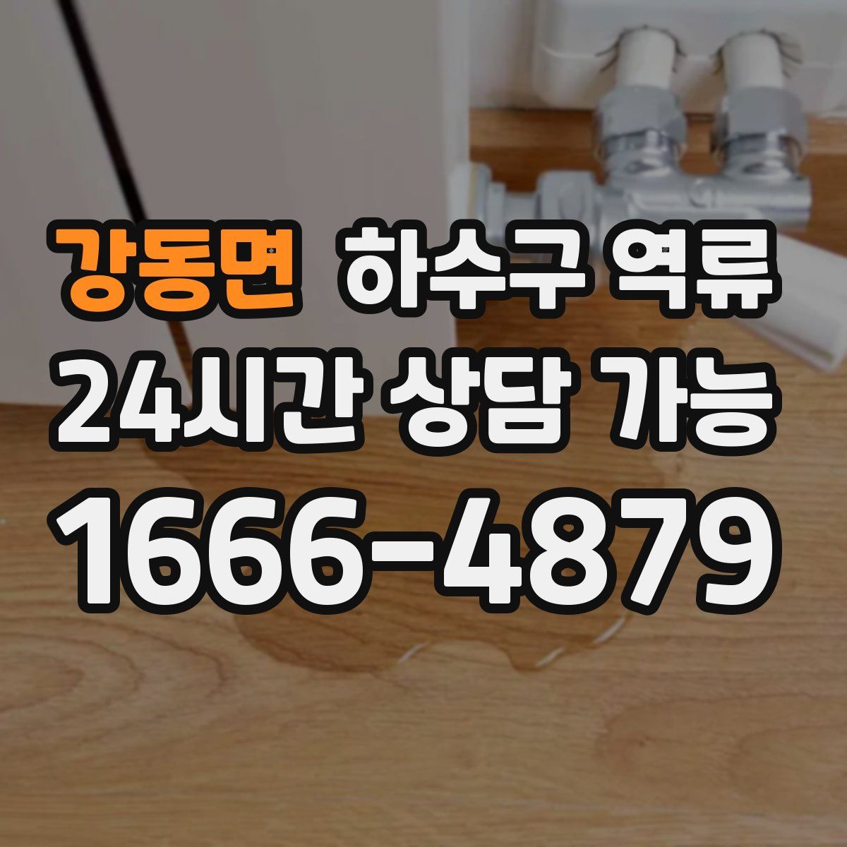 강동면 하수구 역류