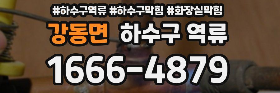 강동면 하수구 역류