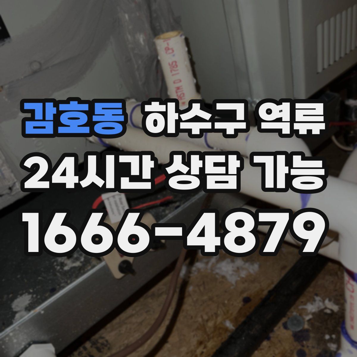 감호동 하수구 역류