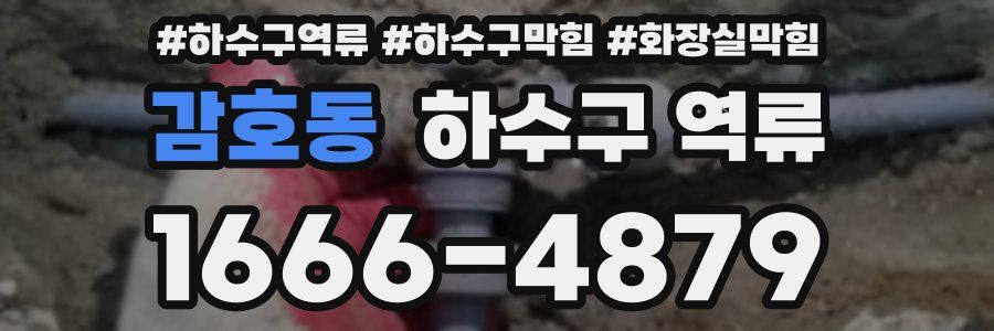 감호동 하수구 역류