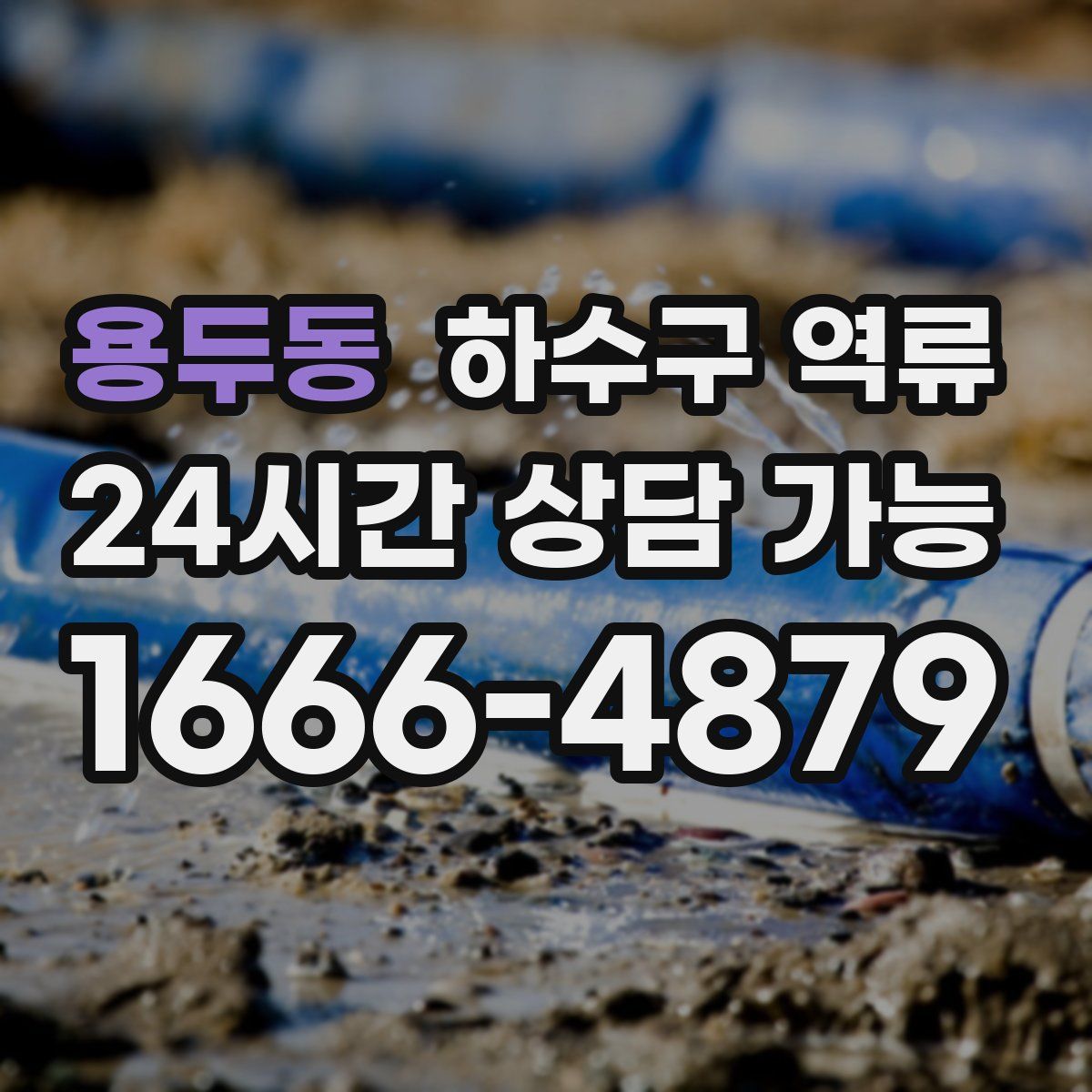 용두동 하수구 역류