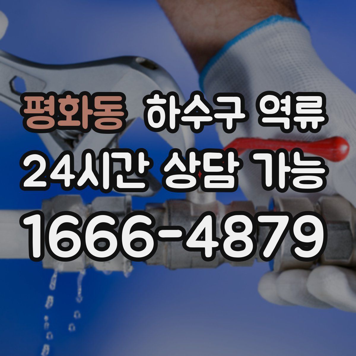 평화동 하수구 역류