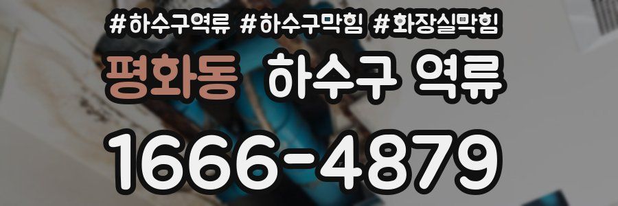 평화동 하수구 역류