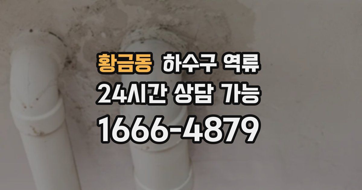 황금동 하수구 역류