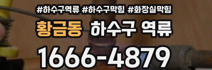 황금동 하수구 역류