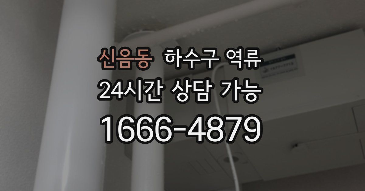 신음동 하수구 역류