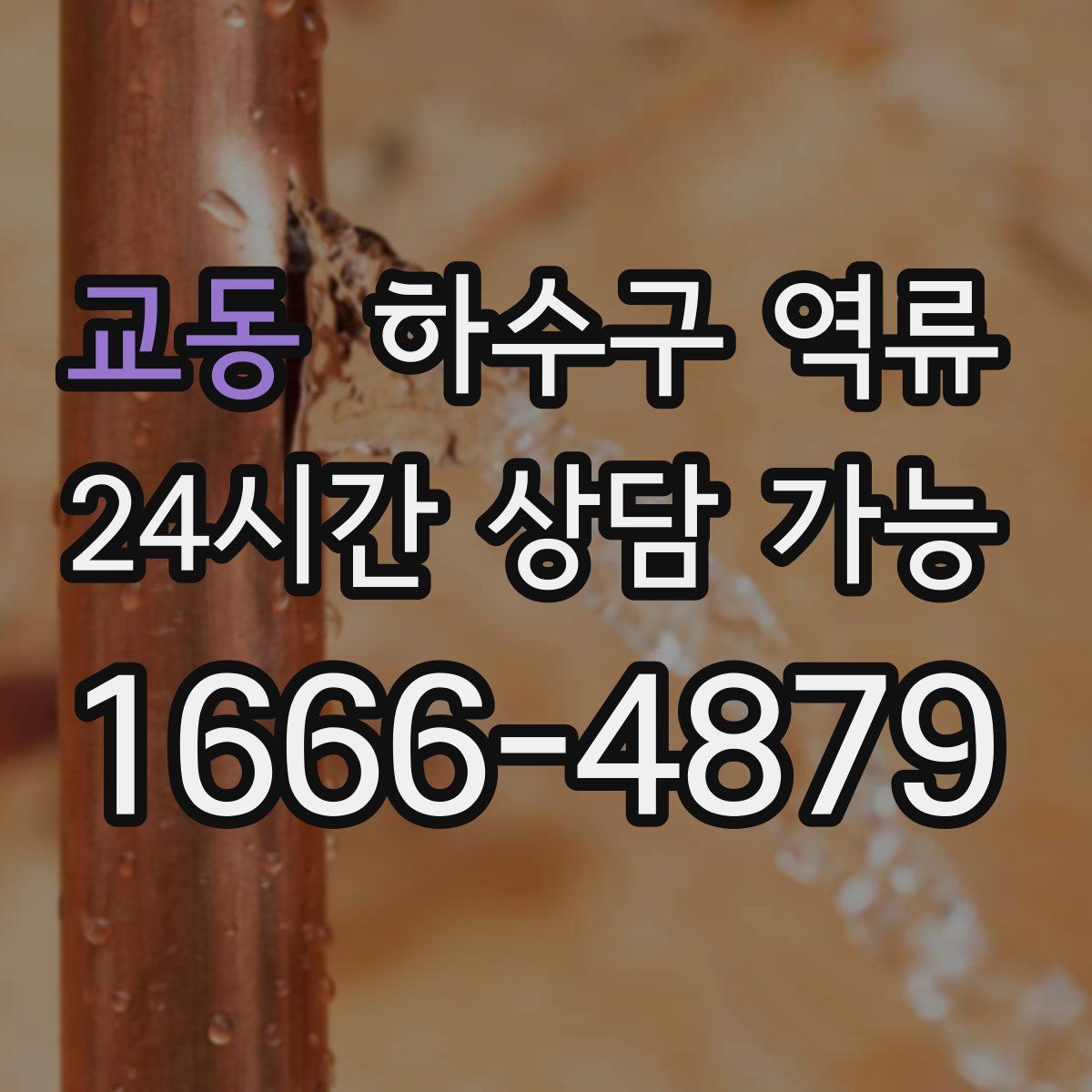 교동 하수구 역류