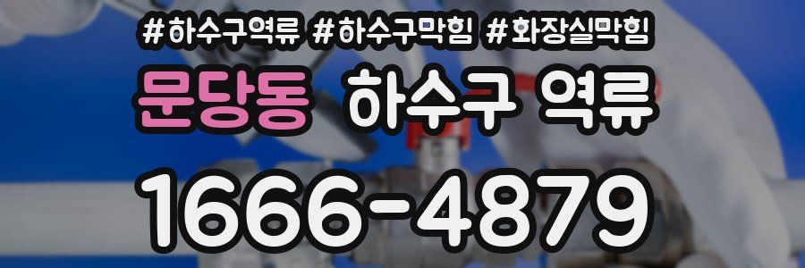 문당동 하수구 역류