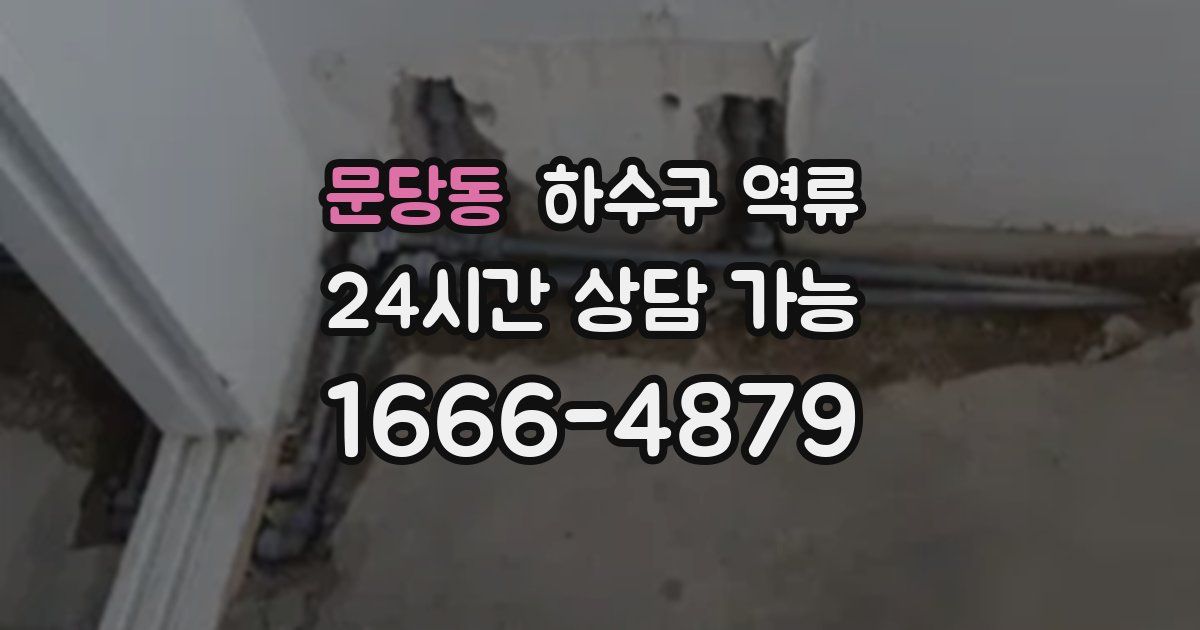 문당동 하수구 역류