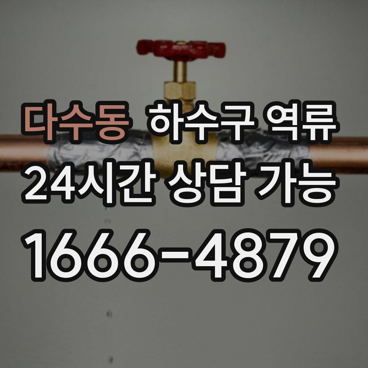 다수동 하수구 역류