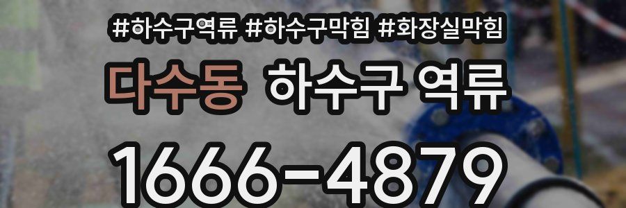 다수동 하수구 역류