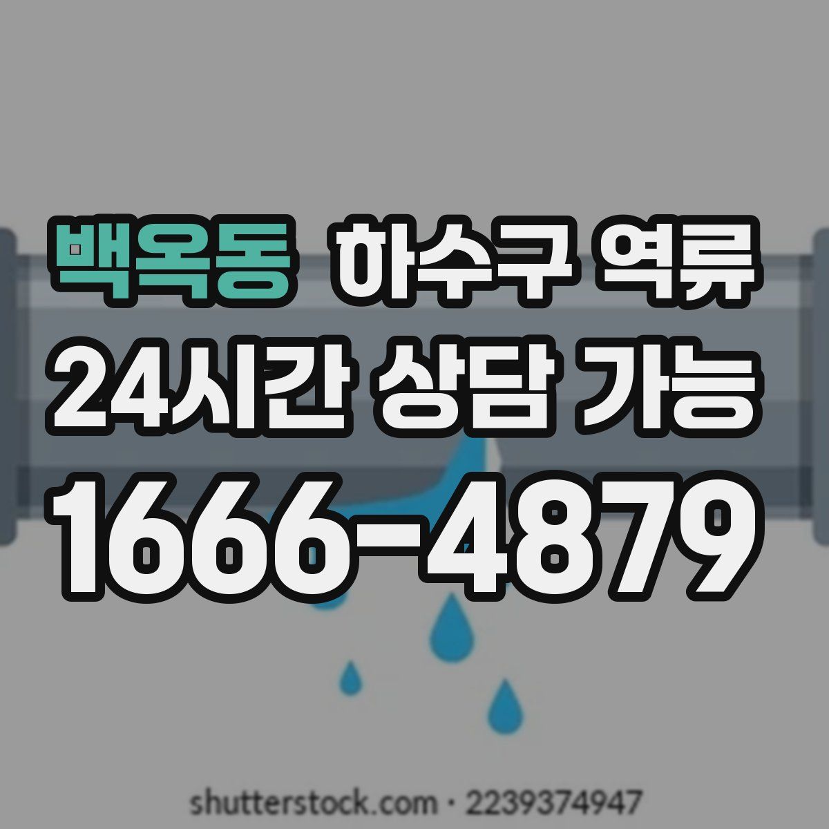 백옥동 하수구 역류