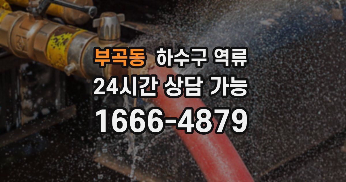 부곡동 하수구 역류