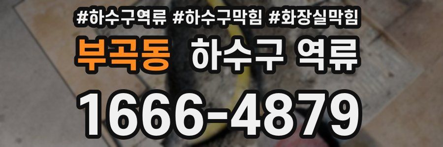 부곡동 하수구 역류