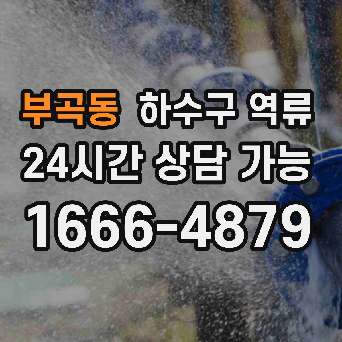 부곡동 하수구 역류