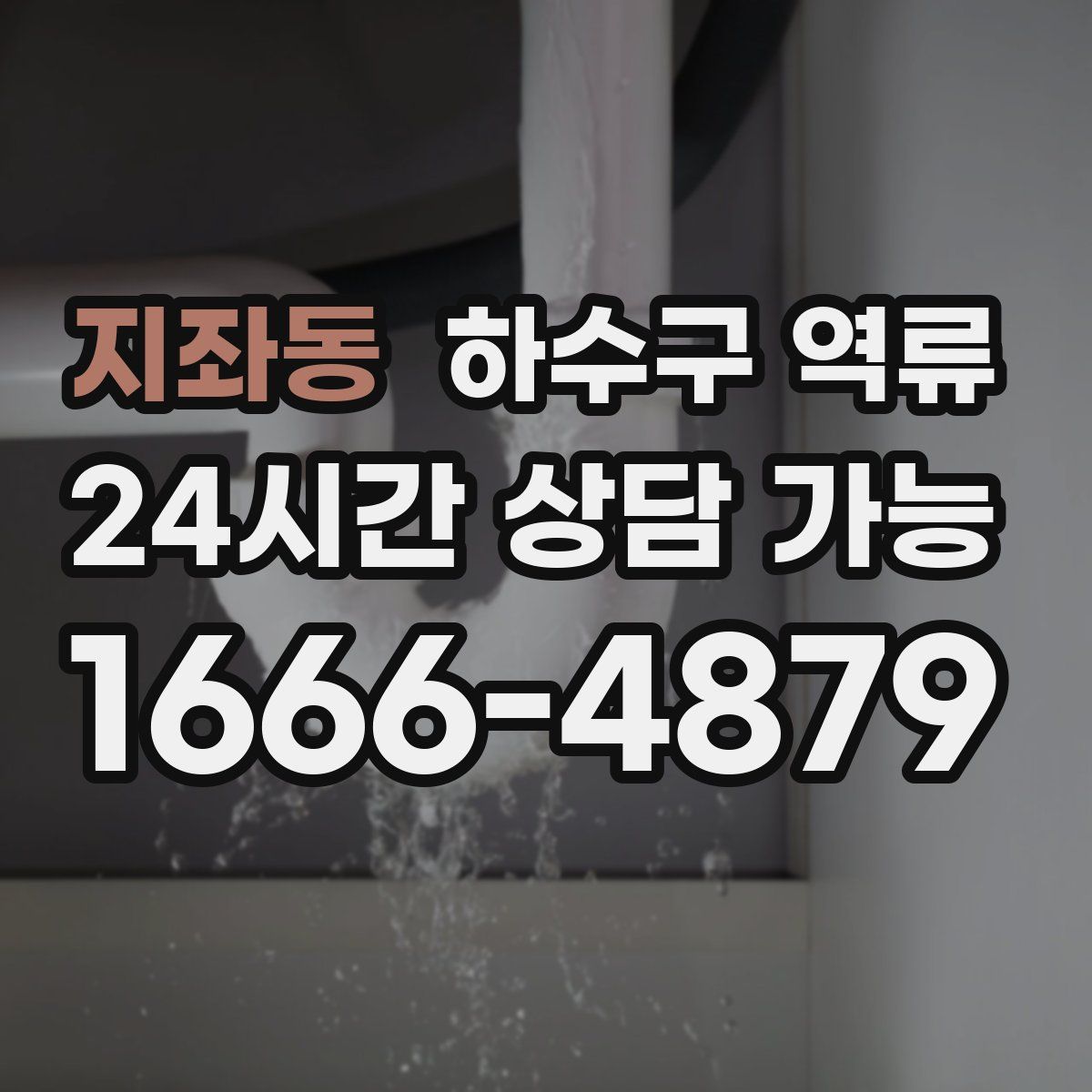 지좌동 하수구 역류