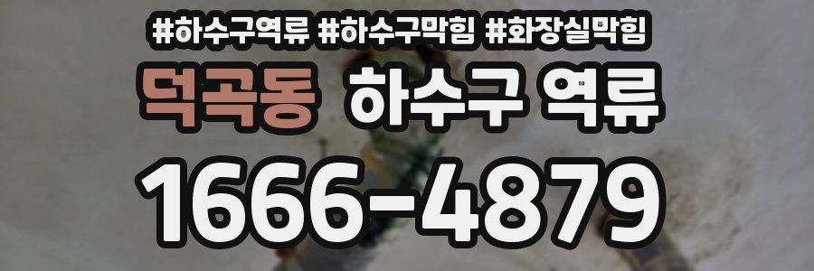 덕곡동 하수구 역류