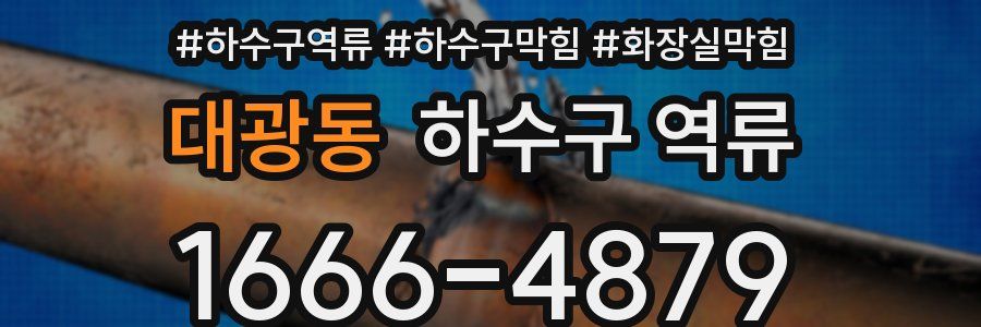 대광동 하수구 역류