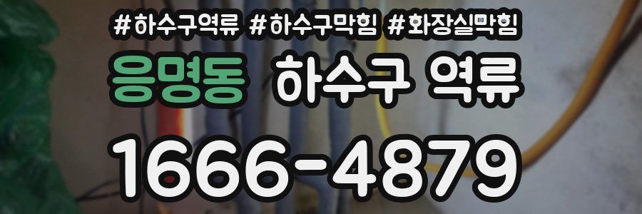 응명동 하수구 역류