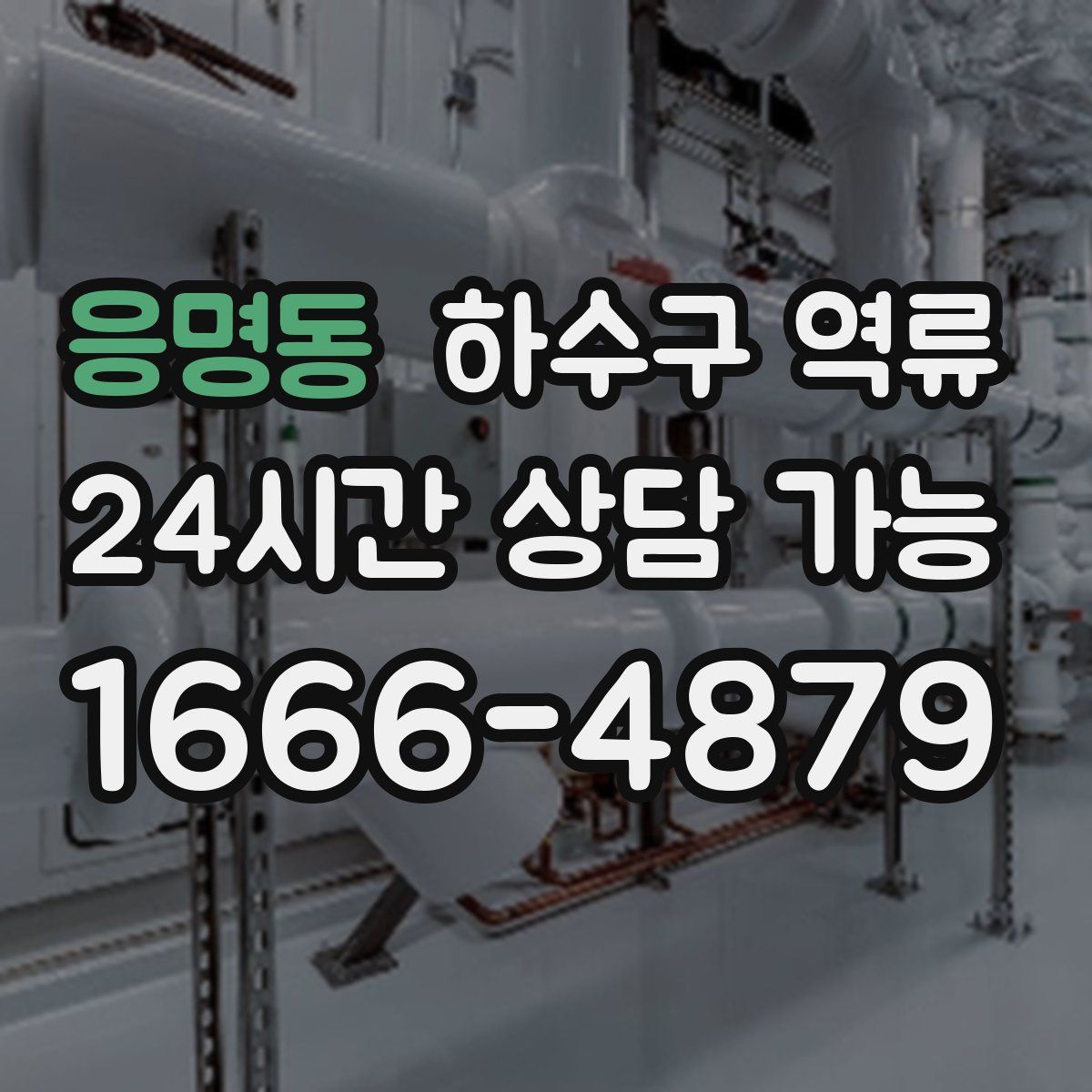 응명동 하수구 역류