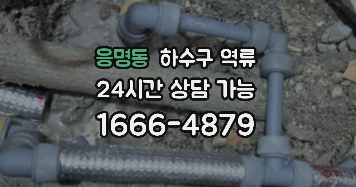 응명동 하수구 역류