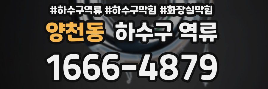 양천동 하수구 역류