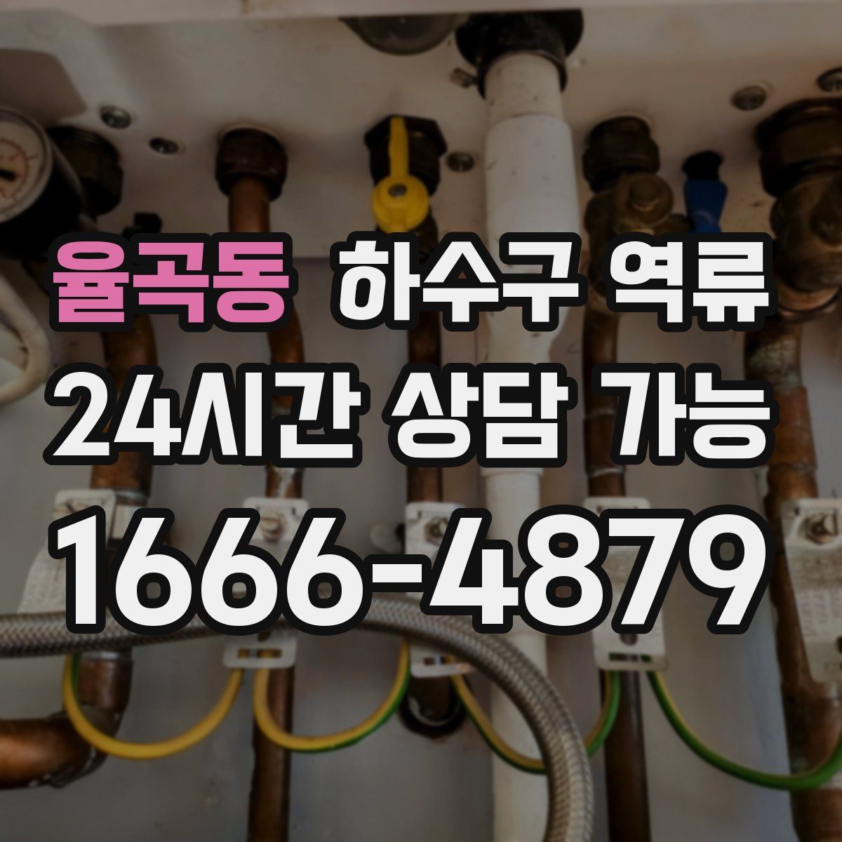 율곡동 하수구 역류