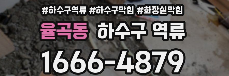 율곡동 하수구 역류