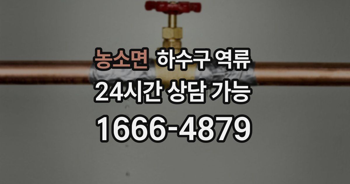 농소면 하수구 역류