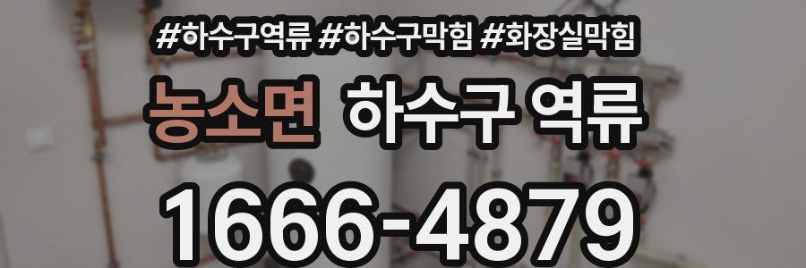 농소면 하수구 역류