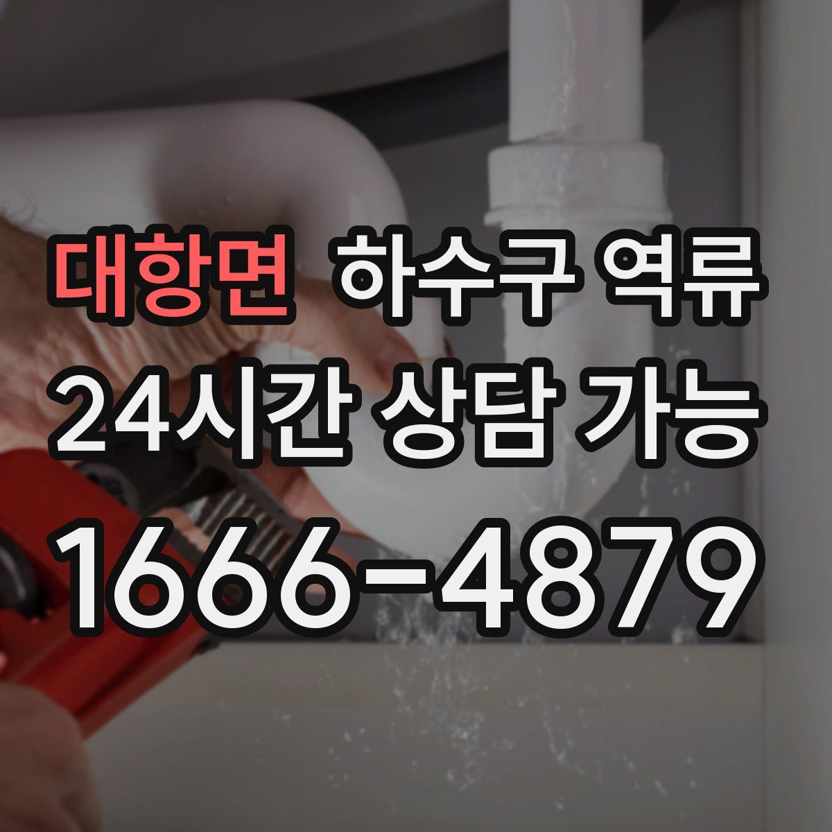 대항면 하수구 역류