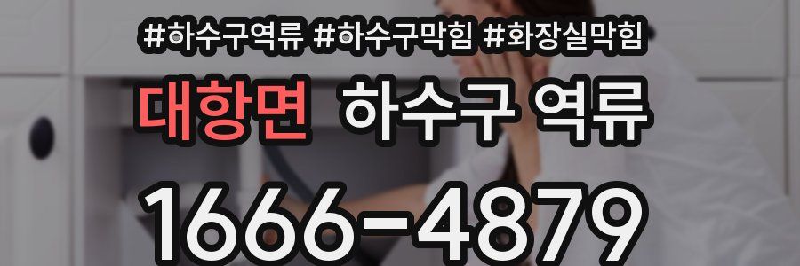 대항면 하수구 역류