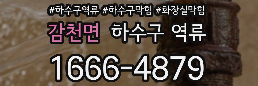 감천면 하수구 역류