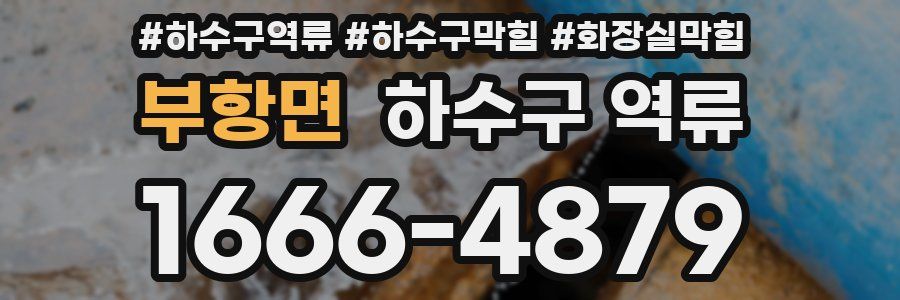 부항면 하수구 역류