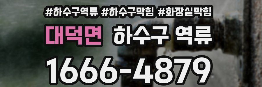 대덕면 하수구 역류