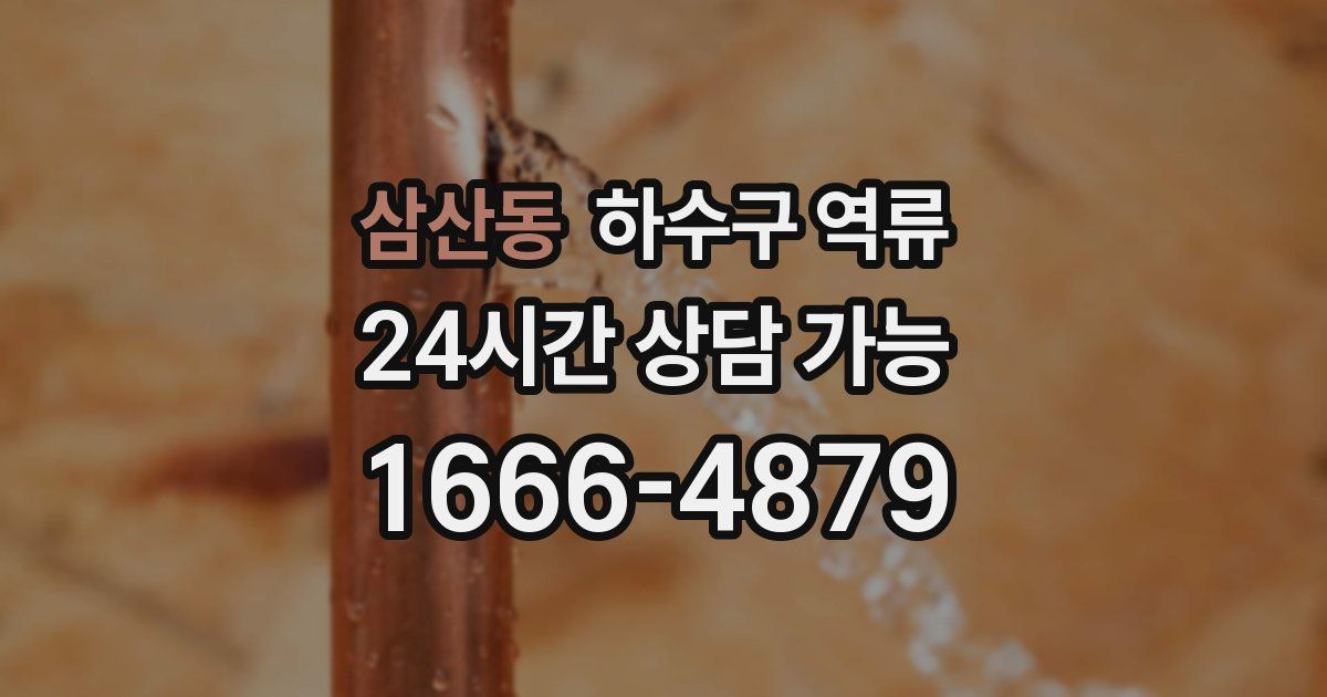 삼산동 하수구 역류