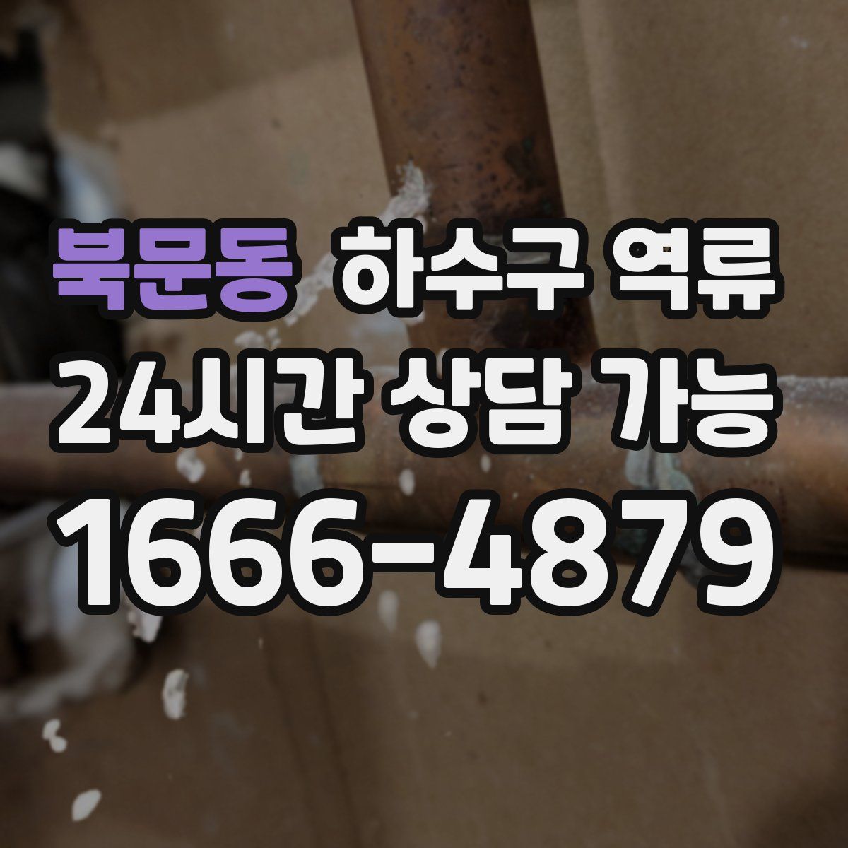 북문동 하수구 역류