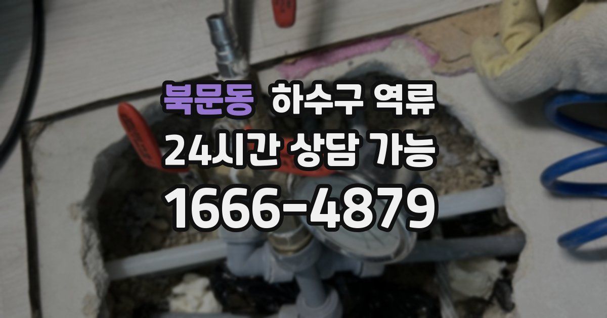북문동 하수구 역류