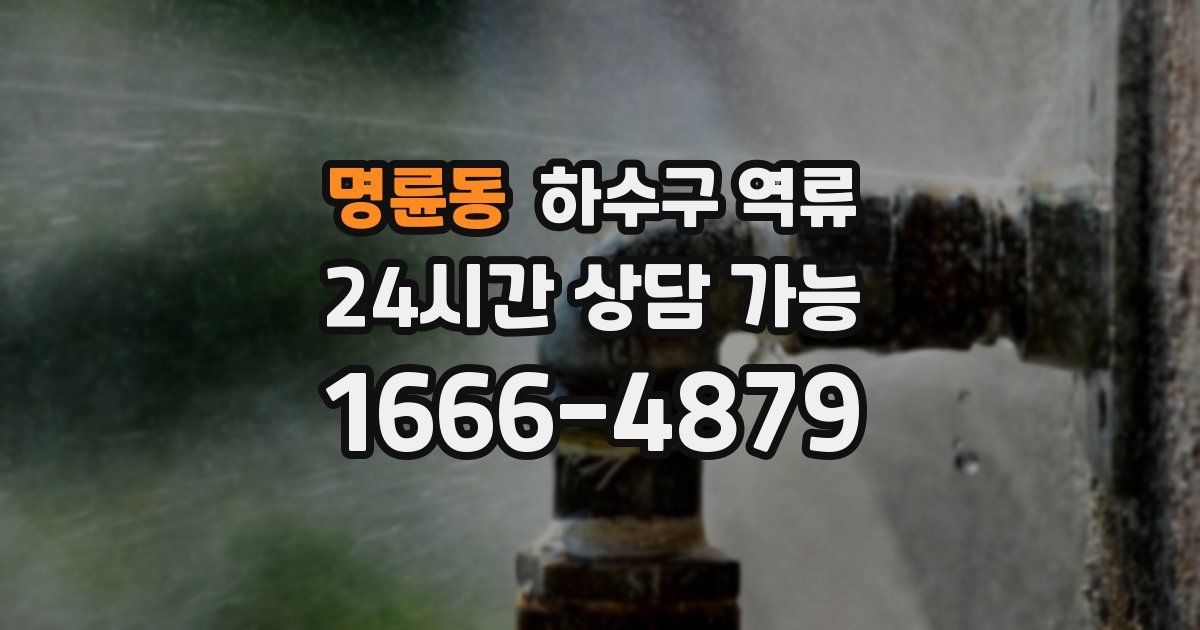 명륜동 하수구 역류