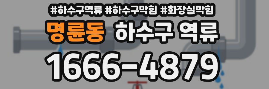 명륜동 하수구 역류