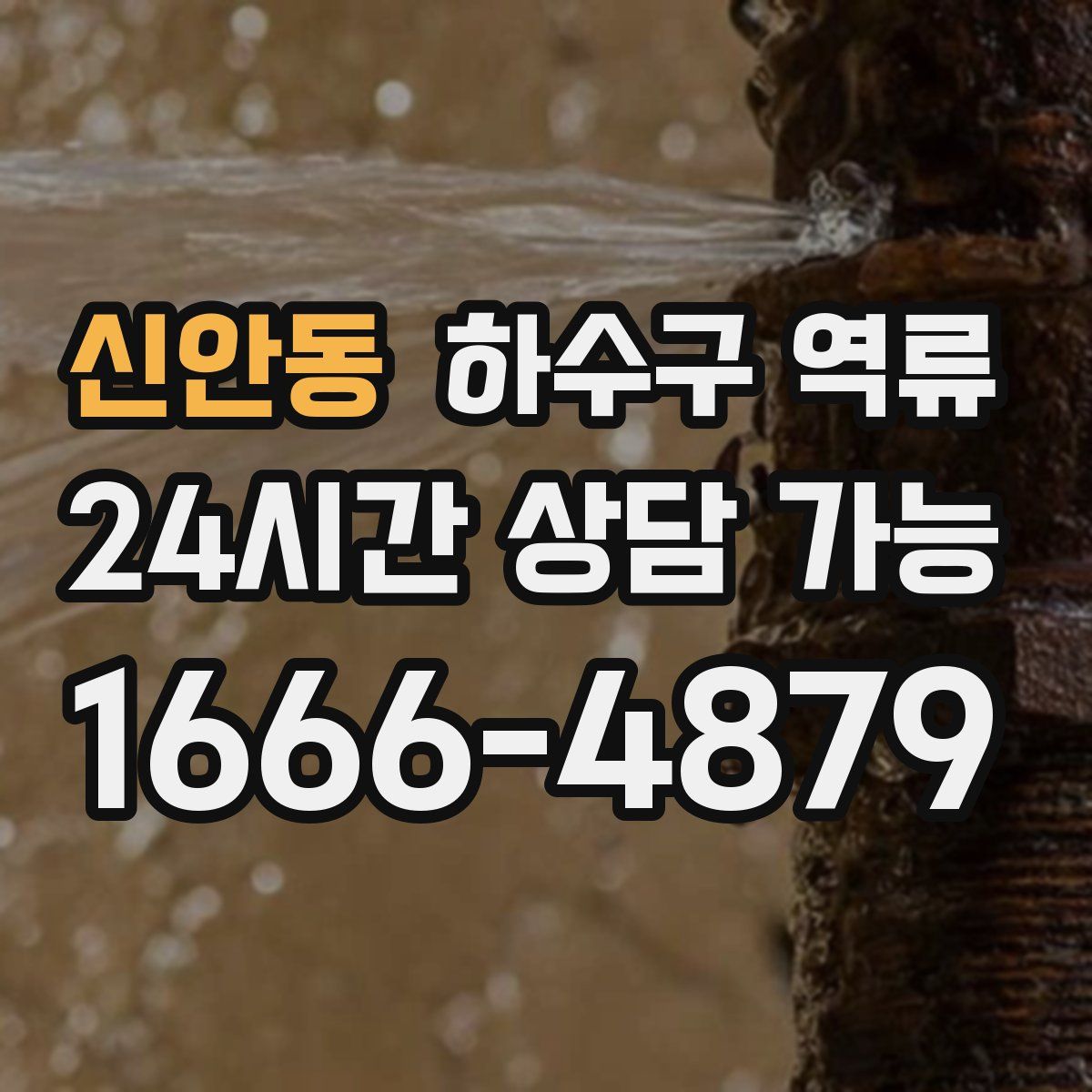 신안동 하수구 역류