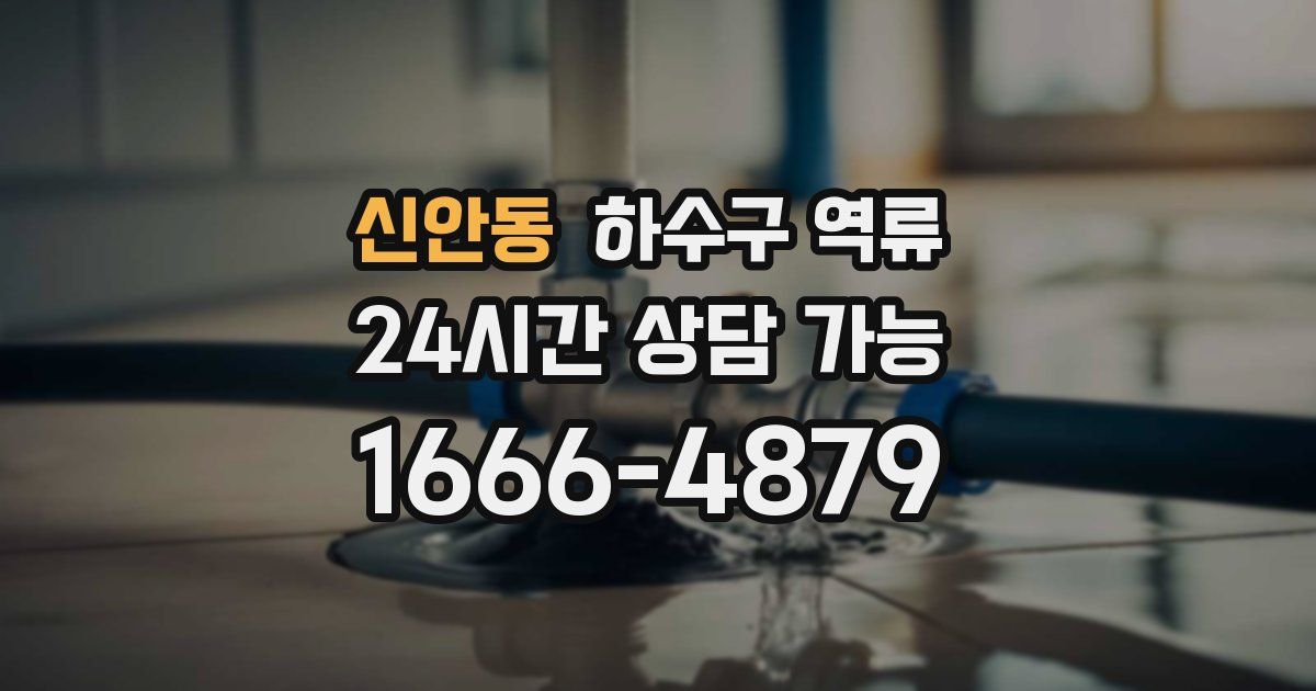 신안동 하수구 역류