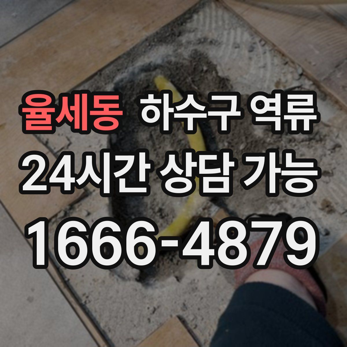 율세동 하수구 역류